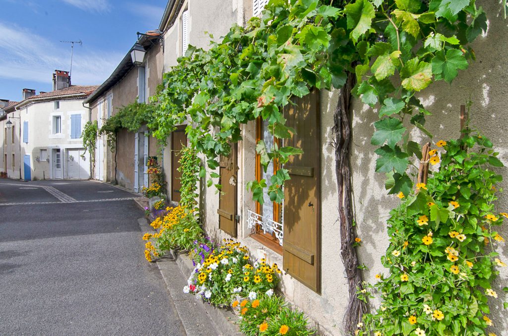 Availles-Limouzine © Roger Moss