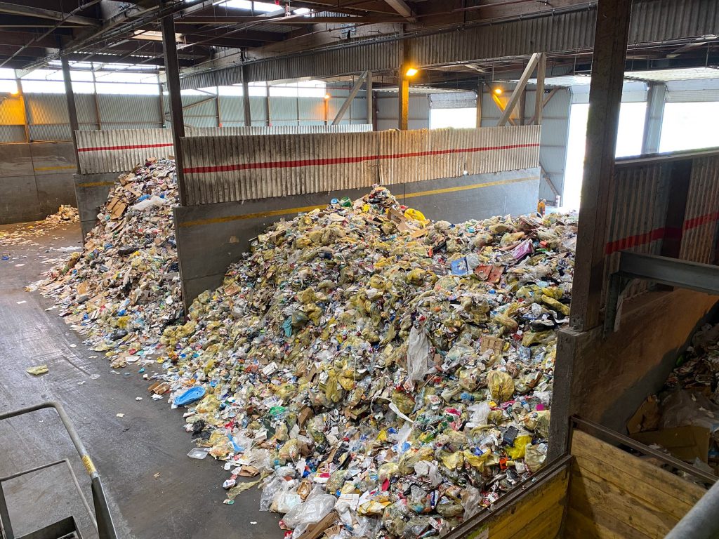 Sorting areas in Cyclad plant