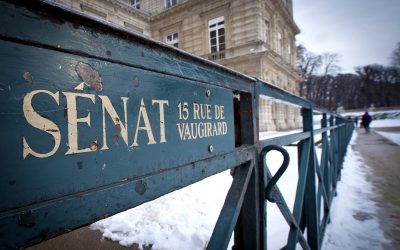 The French Senate Explained: A Powerful Ally for Foreigners Living in France