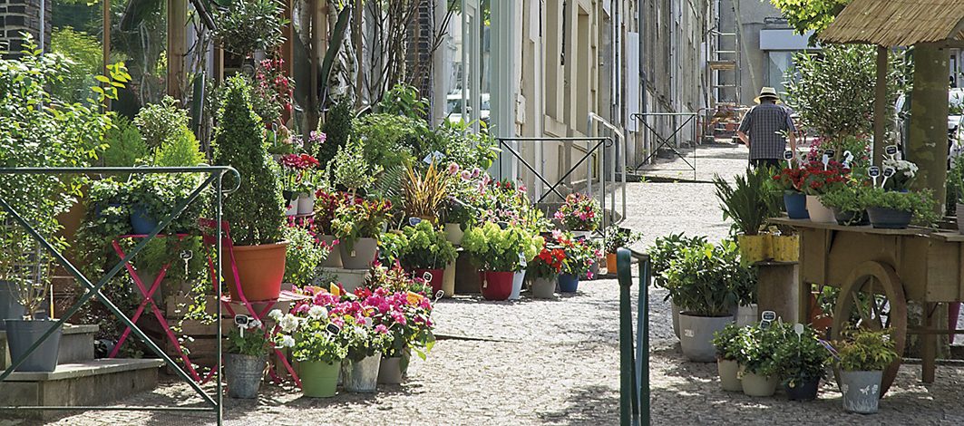 Barbezieux-Saint-Hilaire: the hilltop capital of South Charente
