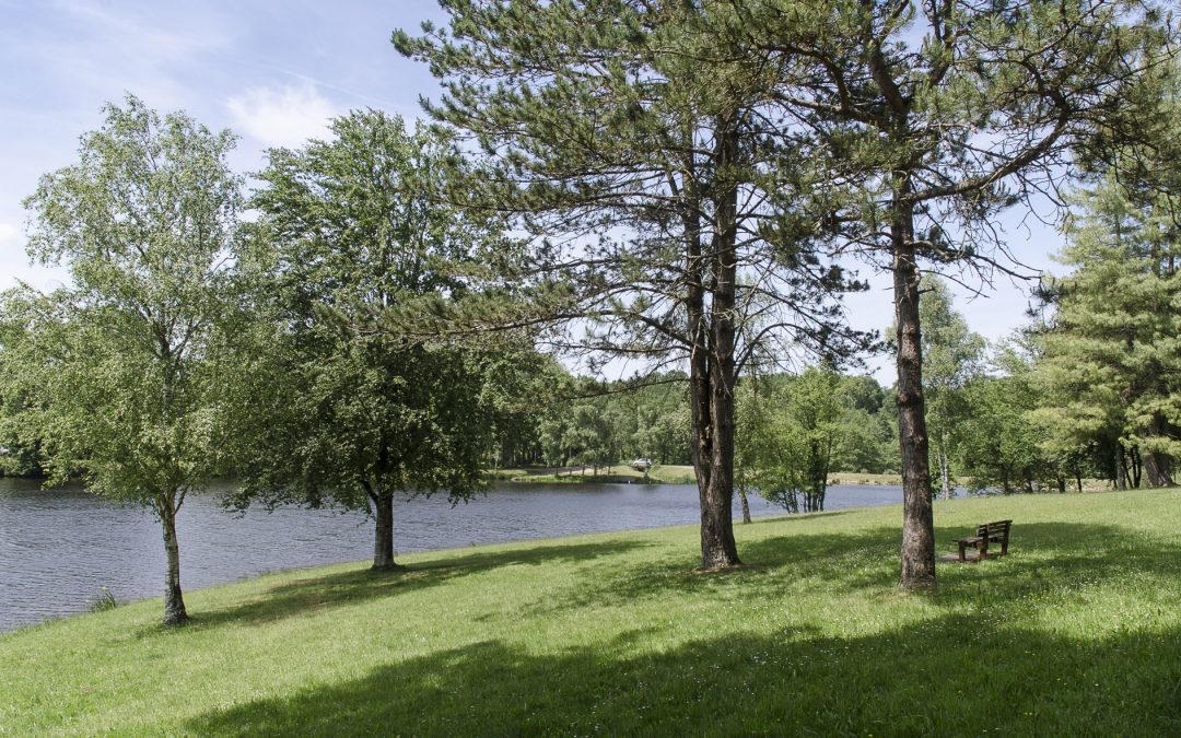 Saint-Mathieu: Built on Iron Ore from the Limousin Hills